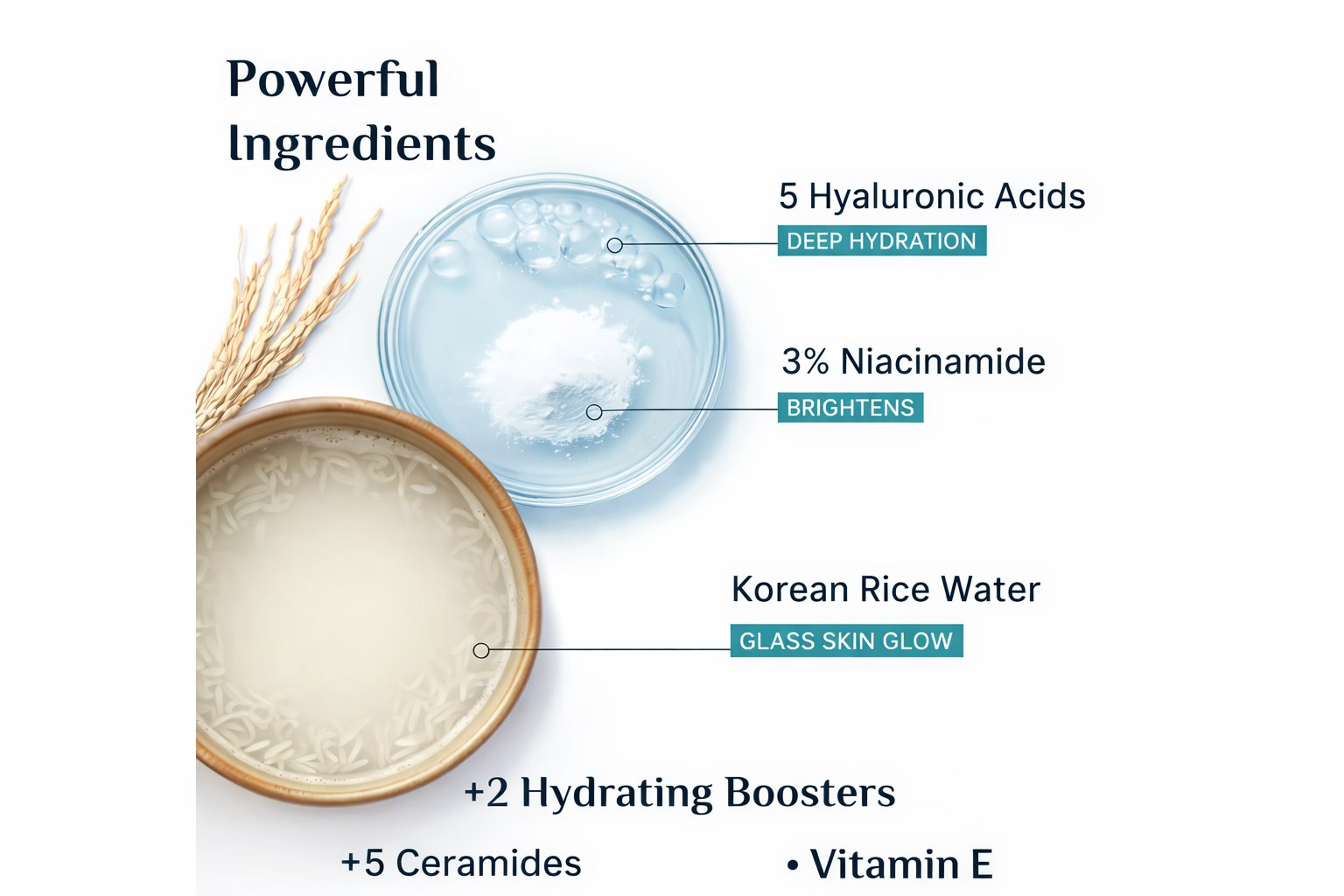Pilgrim Korean Rice Water Hydra Glow Moisturizer 100gm with 5 Hyaluronic Acids, 3% Niacinamide, 5 Ceramides | 5x Hydration & Instant Glass Skin | Oil-Free, Lightweight Gel | For All Skin Types | For Women & Men (100gm)