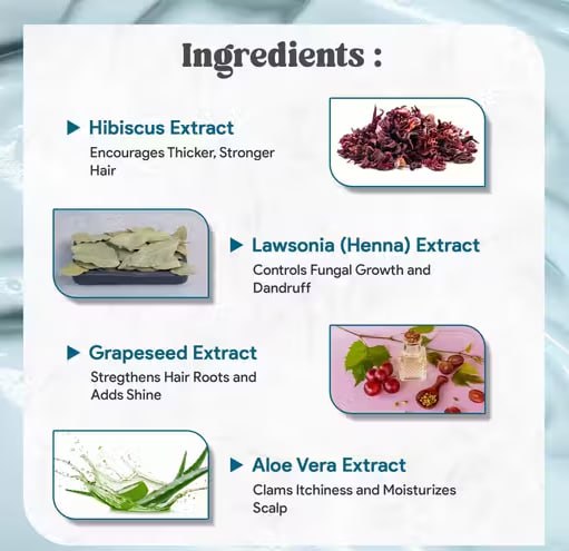 LA’BANGERRY Anti-Dandruff & Scalp Care Shampoo Combo – Hibiscus & Lawsonia Alba Extracts | Reduces Itchiness & Flakes | 250ml × 2