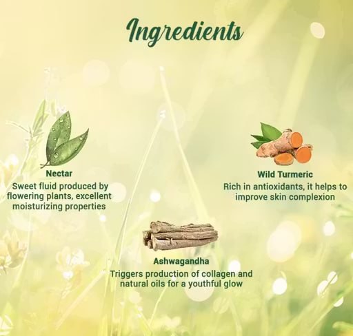 Biotique Morning Nectar Moisturizer 120ml | Nourishing & Hydrating Face Moisturizer | Lightweight Daily Moisturizing Cream for Soft & Glowing Skin